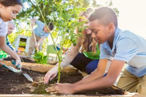 Educação Ambiental