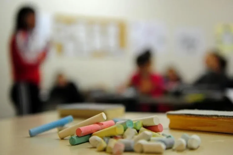 educacao infantil crescimento intelectual